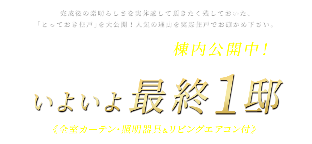 事前案内会開催